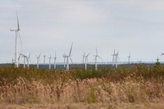 Black_law_windfarm_560x373